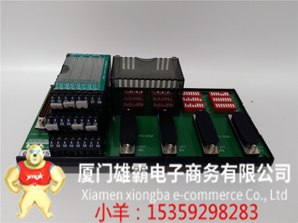 ALLEN BRADLEY 1756-CPR2 通讯模块