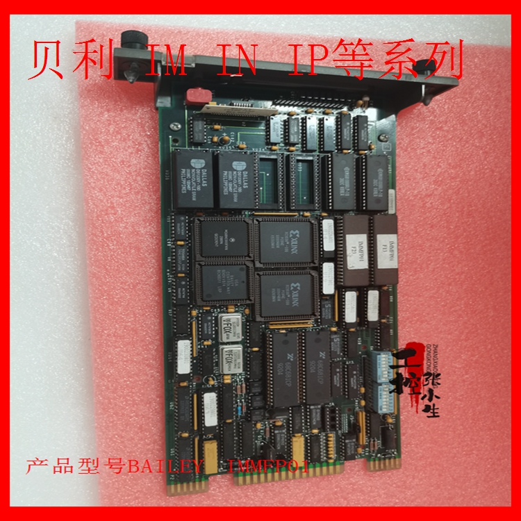 BAILEY	IMMFP01   冗余模块