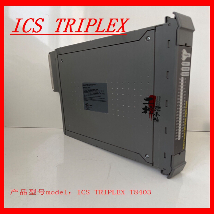 ICS TRIPLEX	T8403输入模块供应