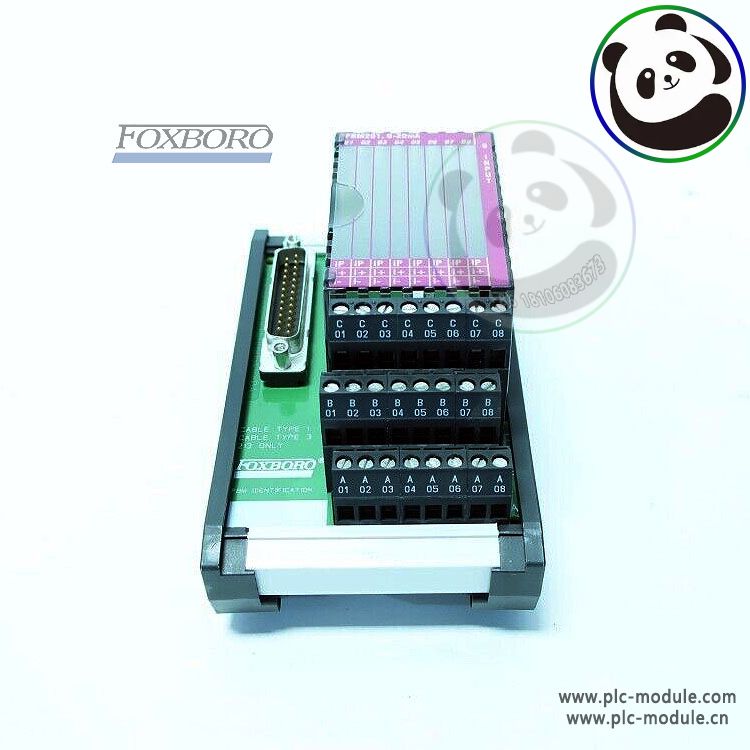FOXBORO RH916ND终端模块