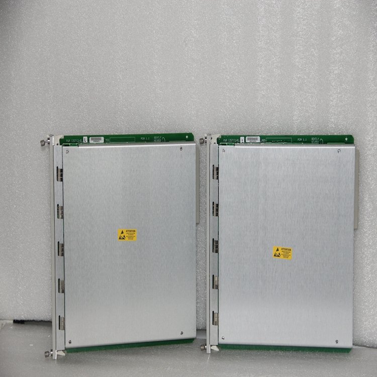 BENTLY 3300/16-03-01-01-00-00-00  输入输出电源模块 全新现货